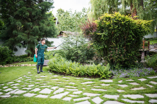 Best Mosquito Control Services  in Island Heights, NJ