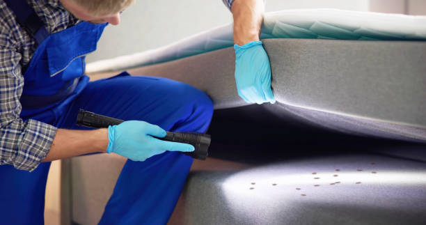 Best Termite Control Services  in Island Heights, NJ
