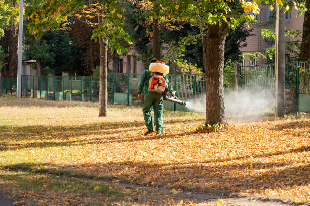 Pest Prevention Services in Island Heights, NJ